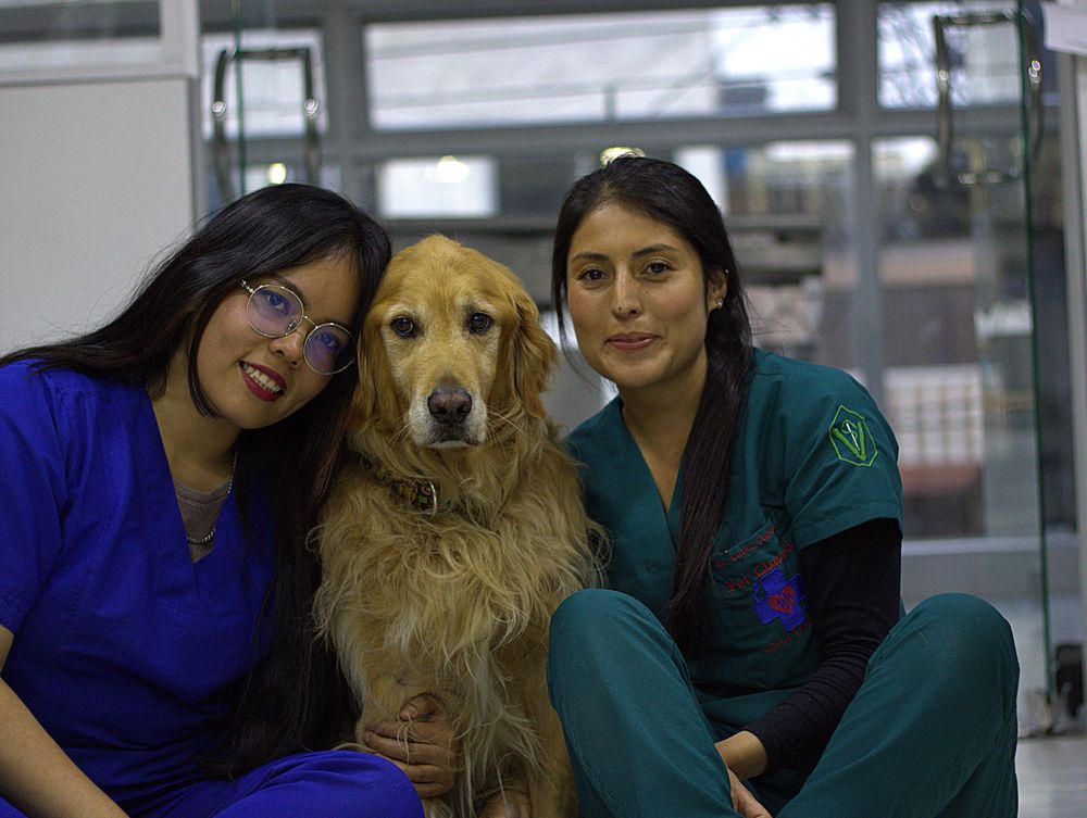 Dos médicas veterinarias de My Pet City con un golden retriever
